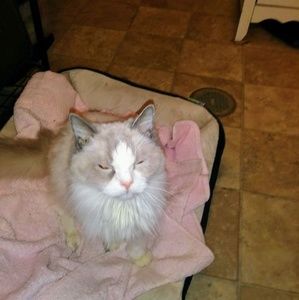 Meet your Posher, Sandra